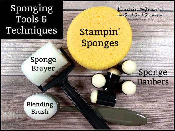Crafters Sponge Tools: Ultimate Guide